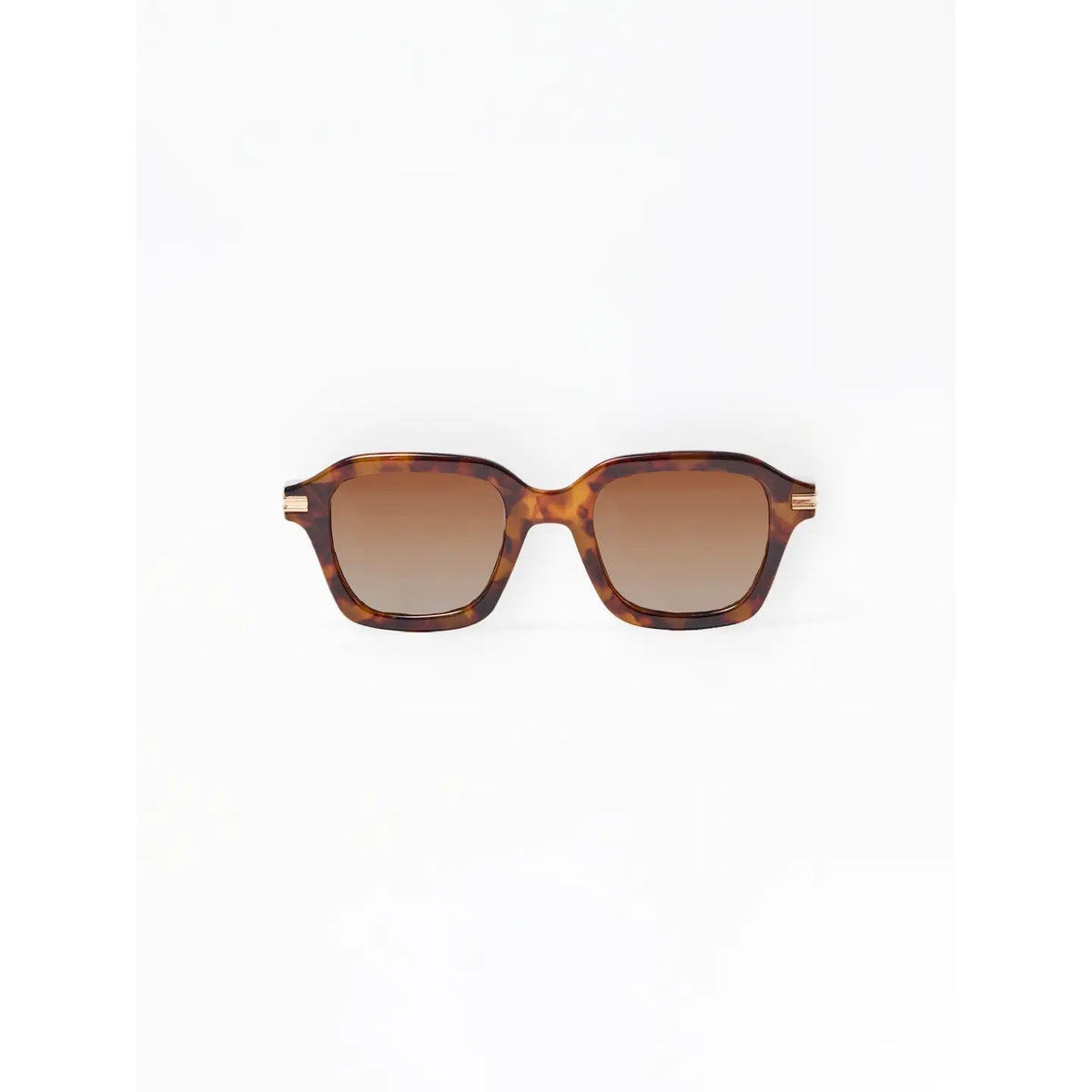 Alyssa Polarized Sunglasses | Tortoise by Mary Square
